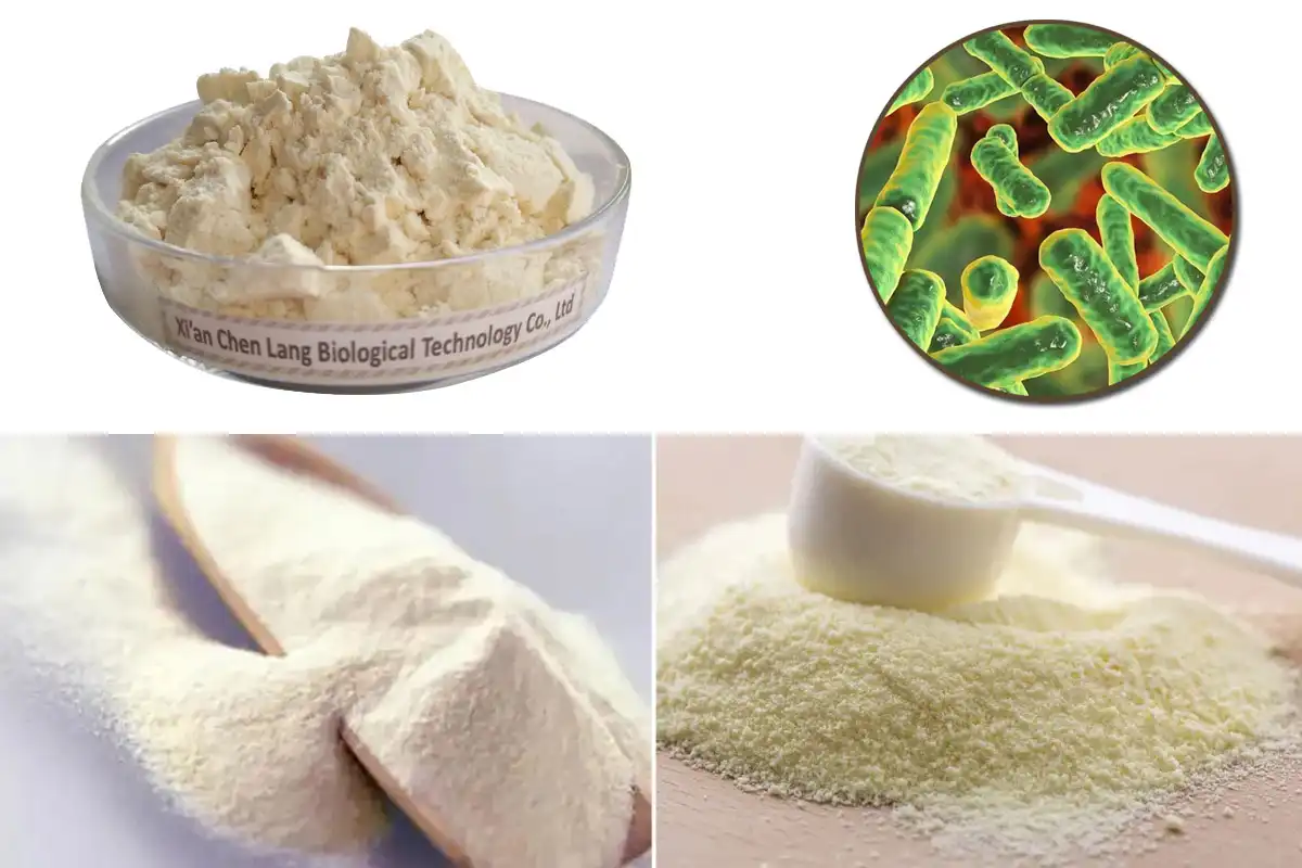 Bifida Ferment Lysate Factory.jpg